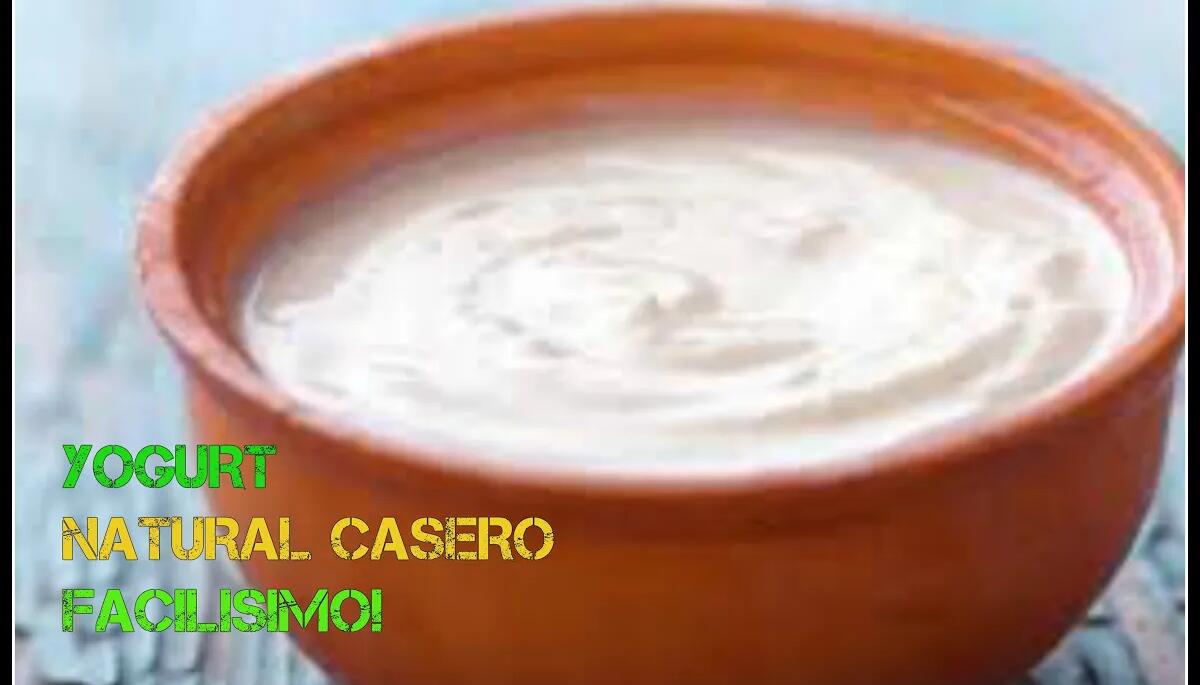 YOGURT NATURAL casero Facilisimo!
