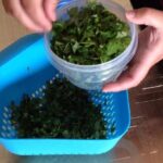 Truco para Congelar Cilantro y Mantenerlo Fresco para tus Recetas